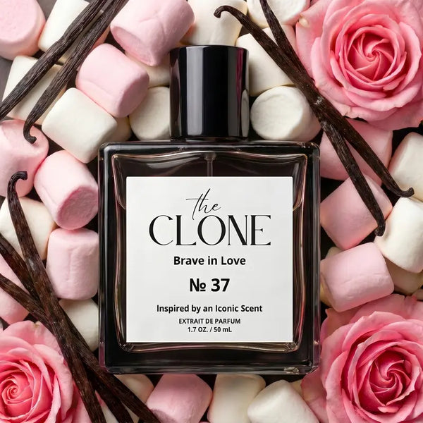 Brave in Love No. 37