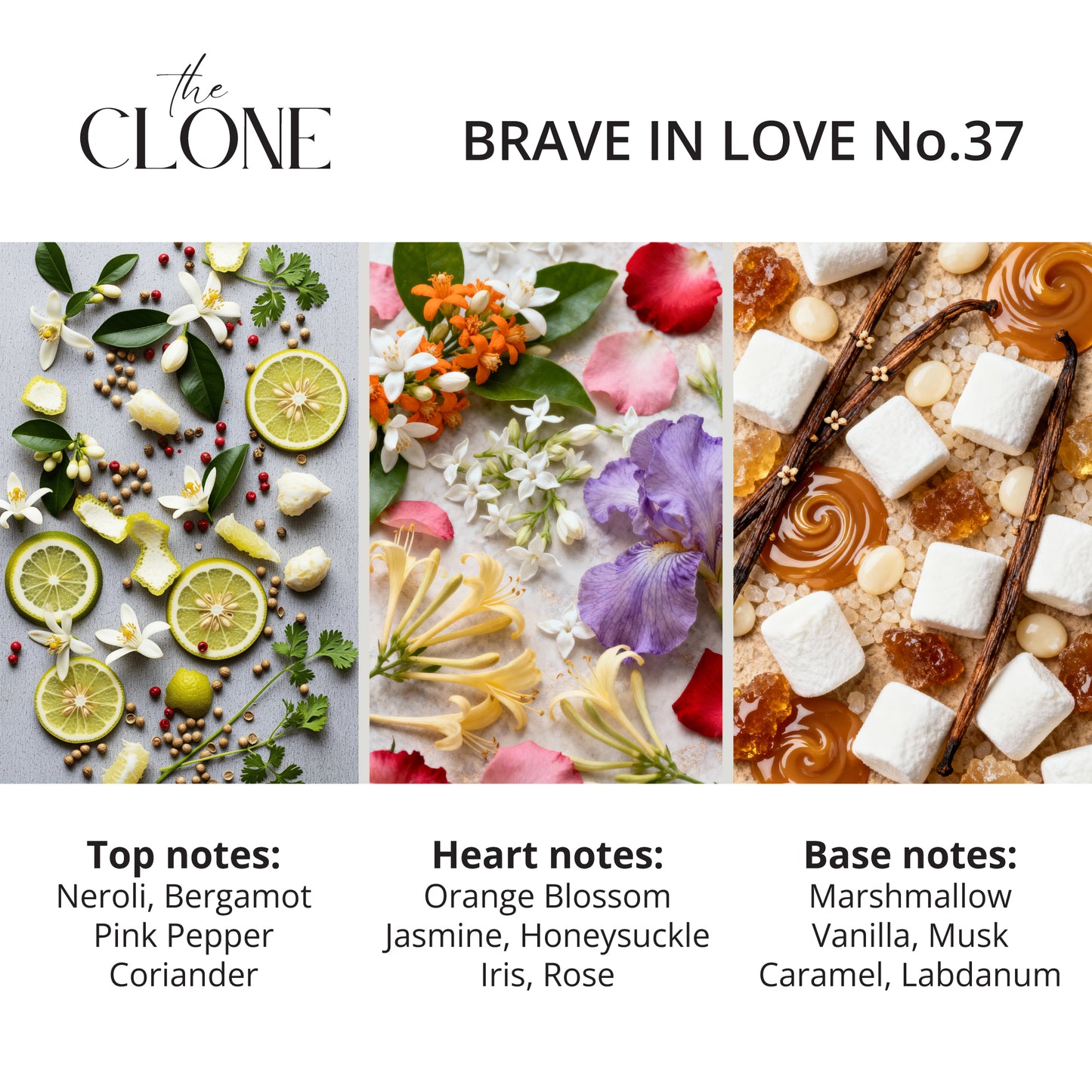 Brave in Love No. 37 - The CLONE Store